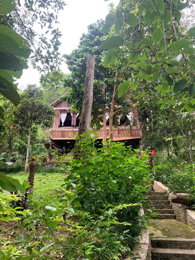 Happy Ria Homestay & Guesthouse Bukit Lawang Exterior foto